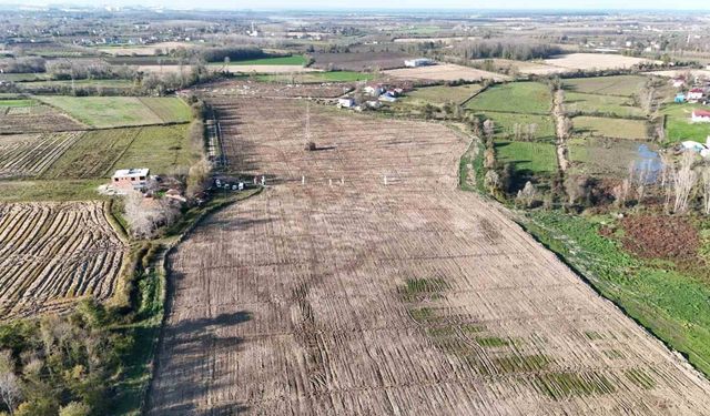 Karadeniz’in en büyük incir projesi: 50 milyon TL gelir kız çocuklarına verilecek