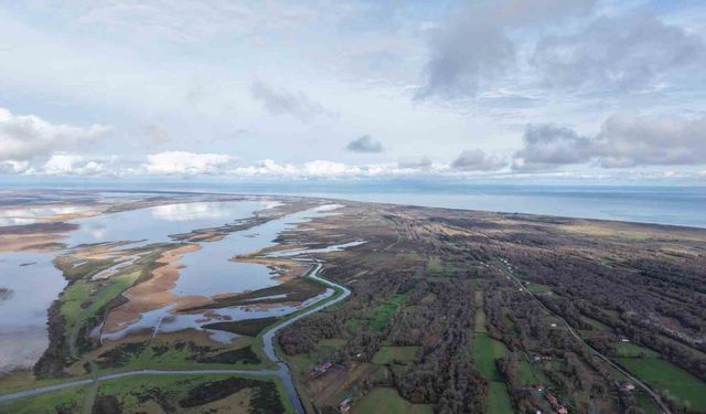 Kızılırmak Deltası’nda yer altı suları beslenemiyor: Her yıl su seviyesi düşüyor