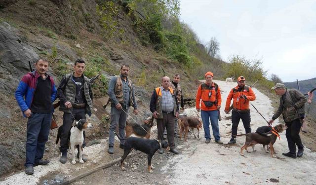 Samsun’da domuz alarmı: Avcılığa "takoz" engeli