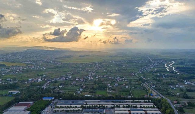 SAMÜ, 7 alanda ilk 20 üniversite arasında yer aldı