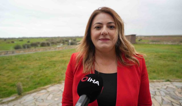 Türkiye'de manda popülasyonu tehdit altında