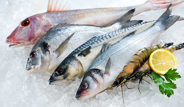 Samsun’un Deniz Kültürünün Balık Tüketimine Yansıması