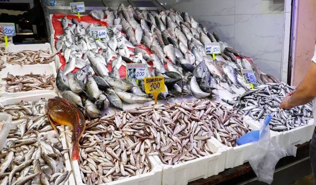 Samsun’da Balık Mevsimlerinin Mutfak Alışkanlıklarına Etkisi