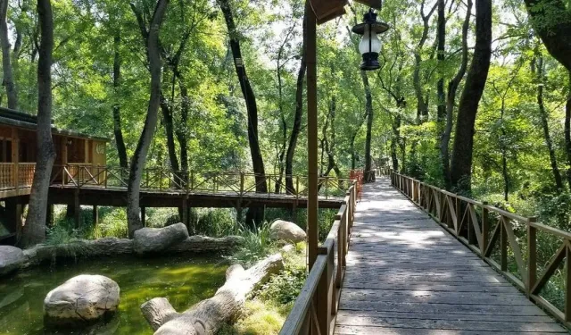 Samsun’da Keşfedilmeyi Bekleyen Saklı Rotalar