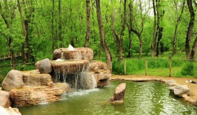 Samsun’daki En Güzel Piknik Alanları