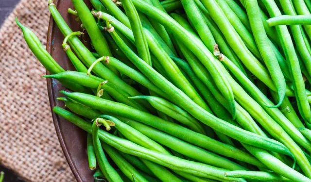 Samsun’un tarımsal yapısının sofralara yansıması