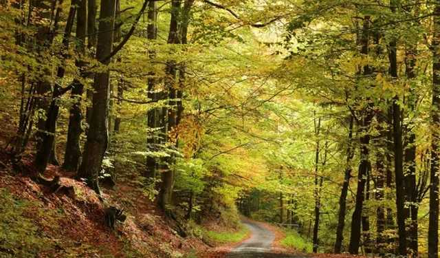 Samsun’da En Sevilen Yürüyüş Yolları