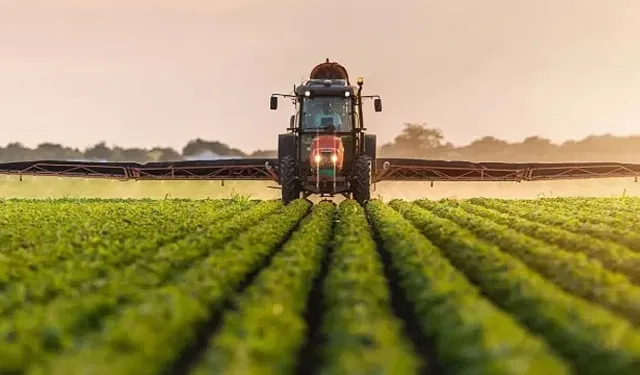 Samsun Kırsalında Mevsimsel Üretim Alışkanlıklarının Sürdürülmesi
