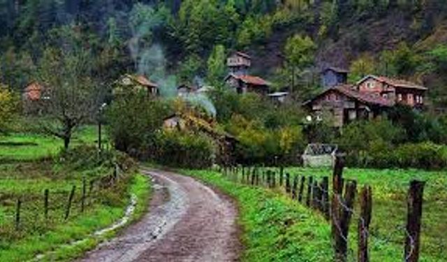 Samsun’da Köy Yaşamında Sürdürülen Geleneksel Üretim Biçimleri