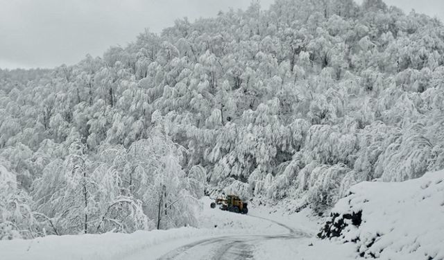 Samsun’da Kış Mevsiminin Kırsal Hayata Etkisi