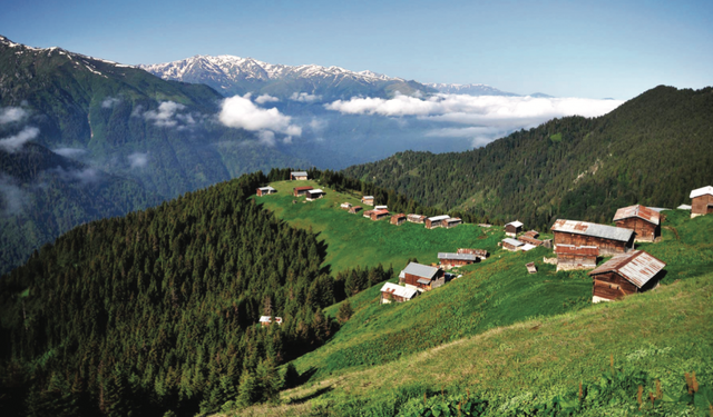 Karadeniz İkliminin Samsun’da Günlük Hayata Etkisi
