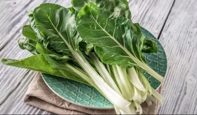 Samsun Mutfağında Yerel Otların Rolü