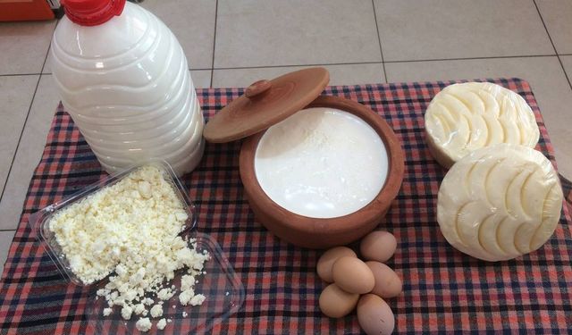 Samsun’un Yayla Kültüründen Gelen Süt Geleneği