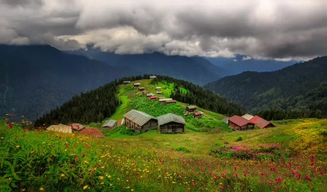Samsun’un Yaylalarında Sürdürülen Doğal Yaşam Pratikleri