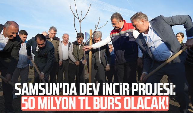 Samsun'da dev incir projesi: 50 milyon TL burs olacak!