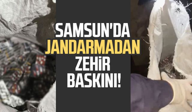 Samsun'da jandarmadan zehir baskını: Binlerce ele geçirildi