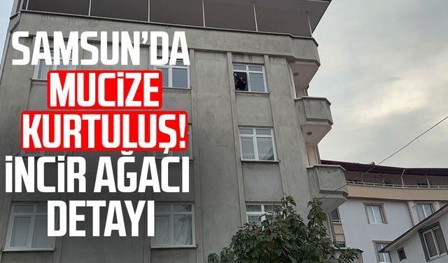 Samsun'da incir ağacı hayatını kurtardı: Mucize kurtuluş