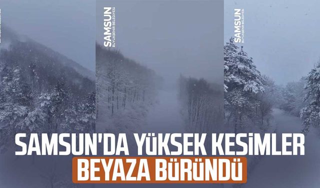 Samsun'da yüksek kesimlerde kar yağışı etkili oldu