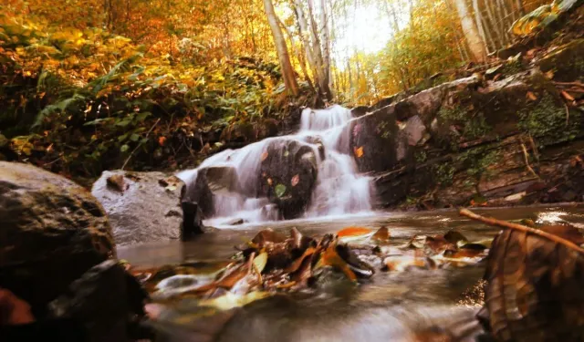 Samsun’da Bahar Mevsiminde Doğanın Canlanışının Etkileri
