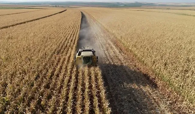 Samsun’un Köylerinde Sürdürülen Doğal Tarım Alışkanlıkları