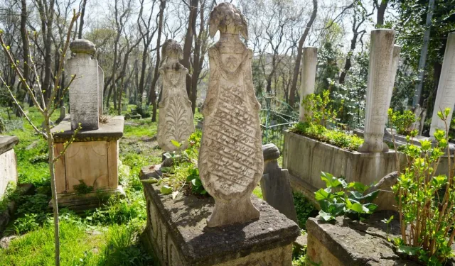 Samsun’un Coğrafyasının Kültürel Alışkanlıklara Etkisi