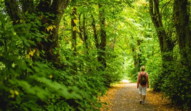 Samsun’da Doğa Sporlarının Sessiz Fakat Sürekli Yükselişi