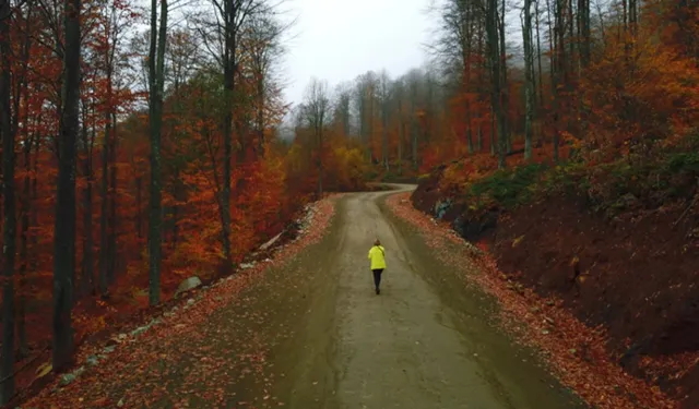 Samsun’un En Popüler Yürüyüş ve Doğa Yolları
