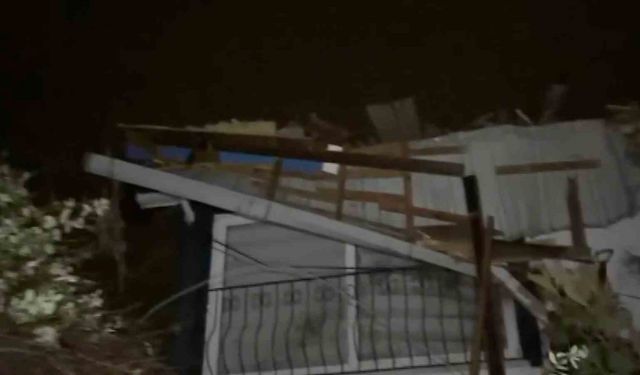 Samsun'da fırtına etkili oldu: Çatılar uçtu, ağaçlar devrildi