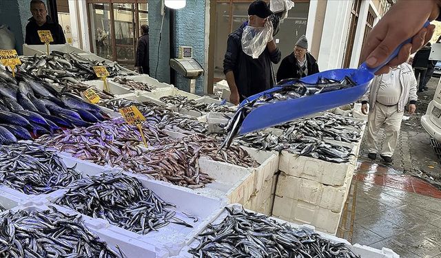 Samsun Sofralarında Balığın Mevsimlere Göre Değişen Yeri