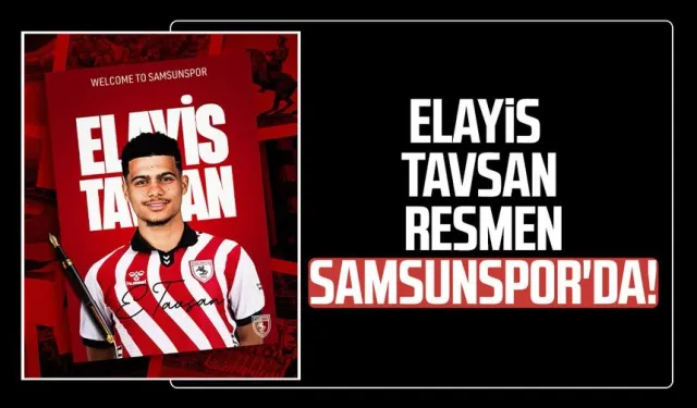 Samsunspor'un 3. transferi Elayis Tavsan