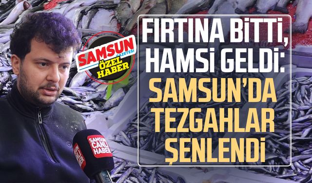 Fırtına bitti, hamsi geldi: Samsun’da tezgahlar şenlendi