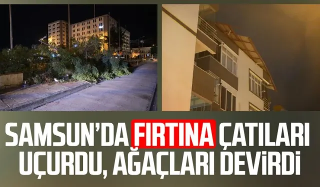Samsun’da fırtına çatıları uçurdu, ağaçları devirdi