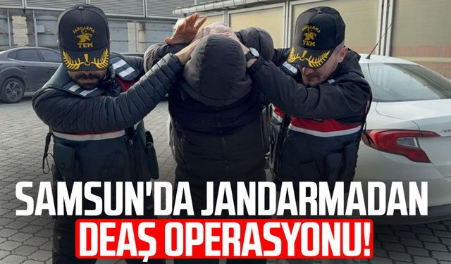 Jandarmadan DEAŞ operasyonu: 1 gözaltı