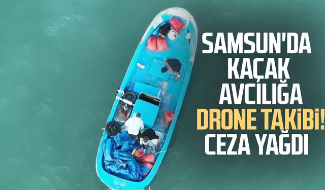 Samsun'da kaçak avcılığa drone takibi! Ceza yağdı