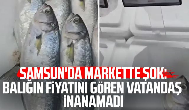 Samsun'da markette şok: Balığın fiyatını gören vatandaş inanamadı
