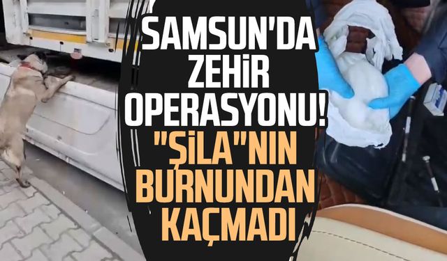 Samsun'da zehir operasyonu! "Şila"nın burnundan kaçmadı