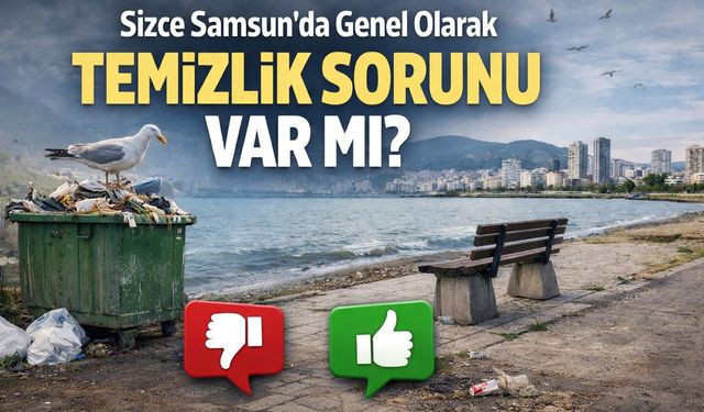 Sizce Samsun'da genel olarak temizlik sorunu var mı?