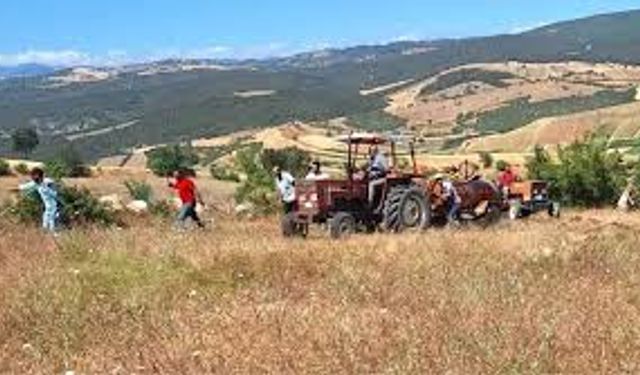 Samsun Mutfağında Tarladan Sofraya Uzanan Gelenek