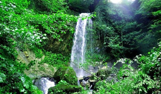 Doğal Şelaleler ve Yayla Kültürü Rehberi