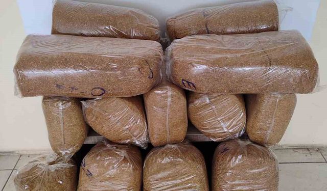Bafra'da tütün operasyonu: 75 kilo kaçak ürün ele geçirildi