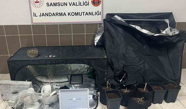 Çarşamba'da jandarmadan uyuşturucu operasyonu