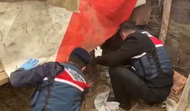 Jandarma, kümese saklanan uyuşturucuyu ele geçirdi: 2 gözaltı