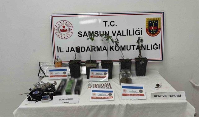 Jandarmadan uyuşturucu operasyonu