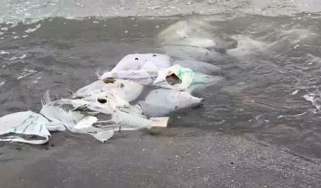 Samsun'da denizde çuvallar içinde inşaat malzemesi bulundu