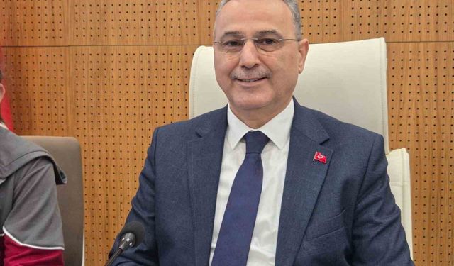 Samsun'da konteynerde bulunan 9 köpekle ilgili rapor açıklandı: 'Doğal ölüm'