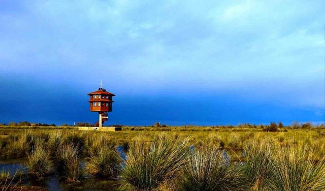 Samsun'da tabiat parklarını 186 bin 271 kişi gezdi