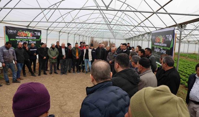 Vezirköprü'de çiftçiye 12 bin 500 meyve fidanı