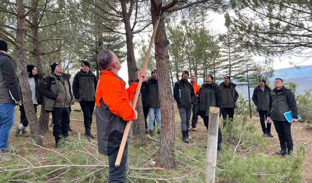 Vezirköprü'de işletme şefi adaylarına silvikültür eğitimi