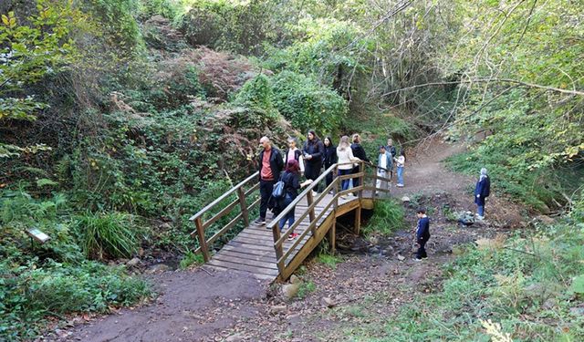 Canik’te Şehir ve Doğa Manzarası