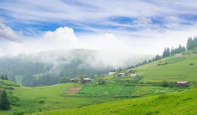 Asarcık’ta Doğayla Baş Başa Bir Gün